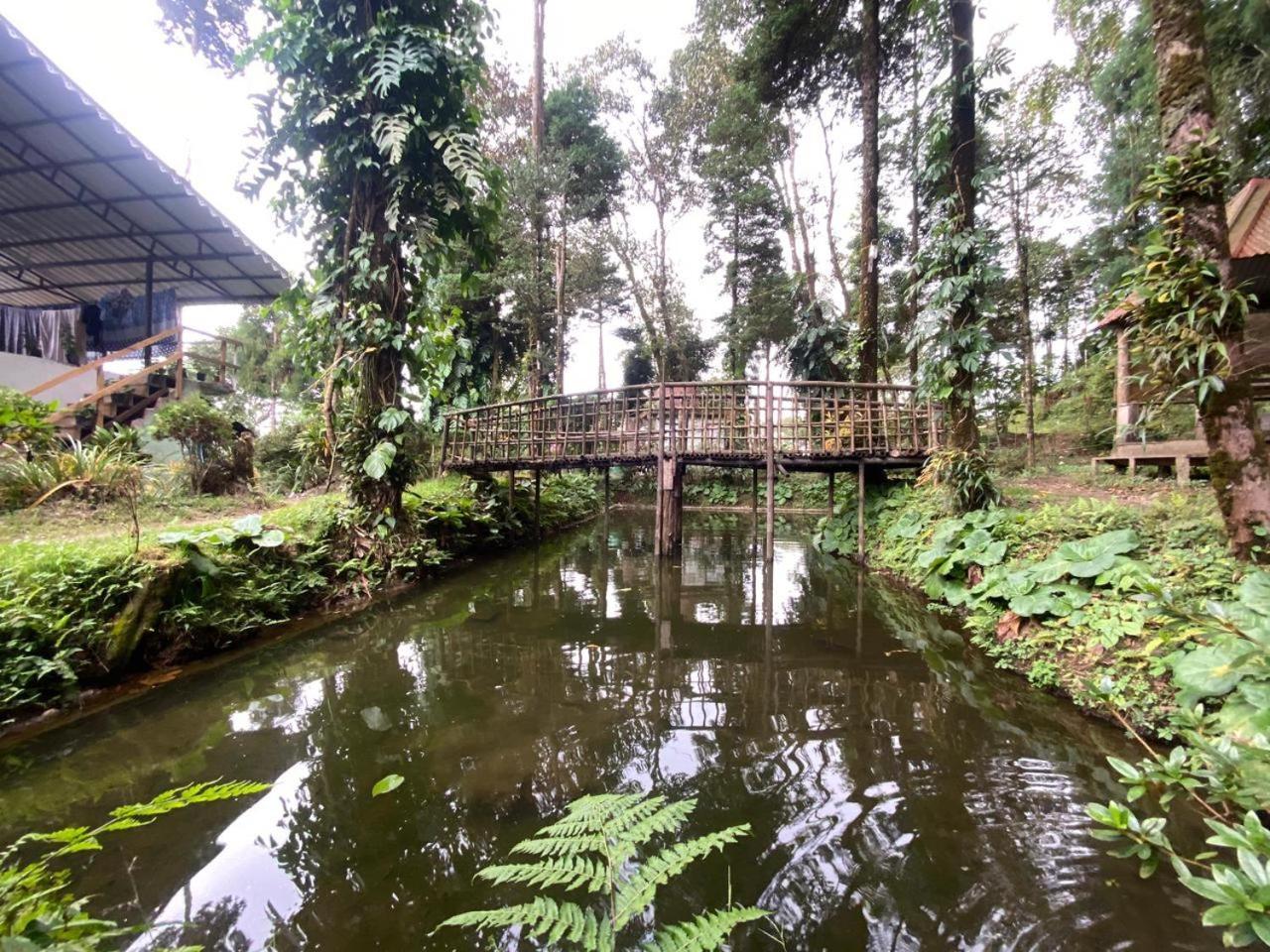 Magnolia Farmhouse And Homestay ดาร์จีลิง ภายนอก รูปภาพ